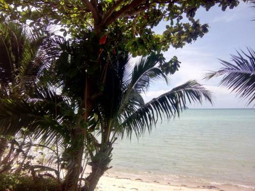 Hotel Seaview'n'beach Resort
