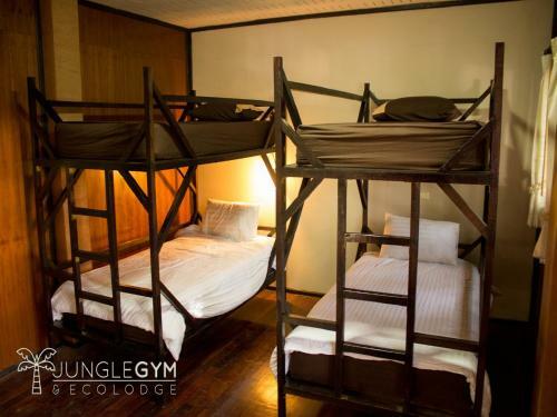 Hostal Jungle Gym & Ecolodge