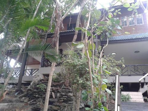 Hostal Jungle Gym & Ecolodge
