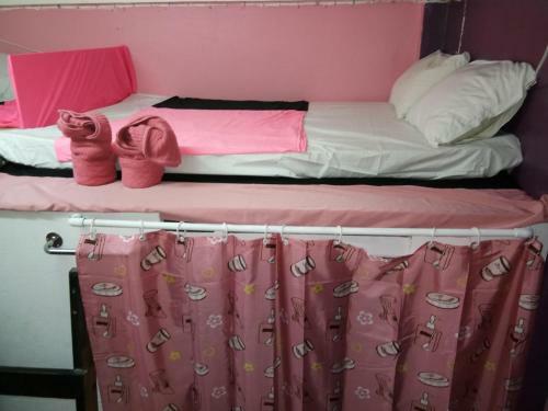 Wild & Wandering Backpacker Hostel & Bar