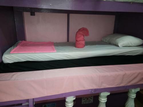 Wild & Wandering Backpacker Hostel & Bar