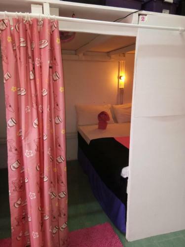 Wild & Wandering Backpacker Hostel & Bar