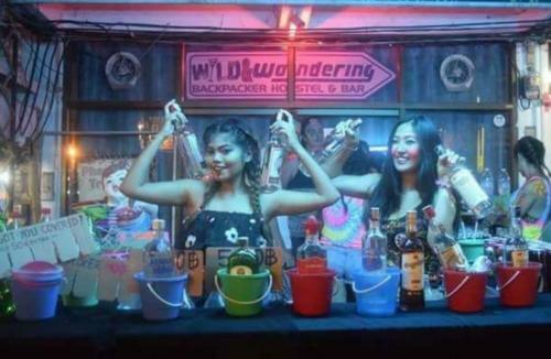 Wild & Wandering Backpacker Hostel & Bar
