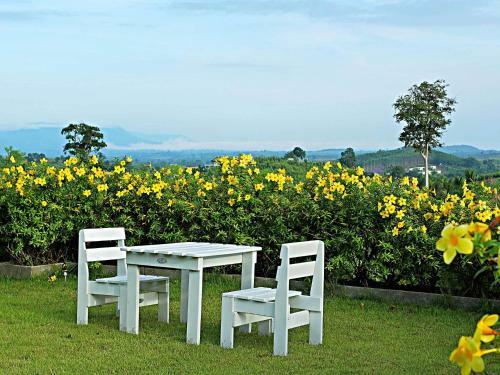 Hotel Veravian Resort