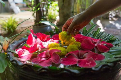 Hotel Samahita Retreat