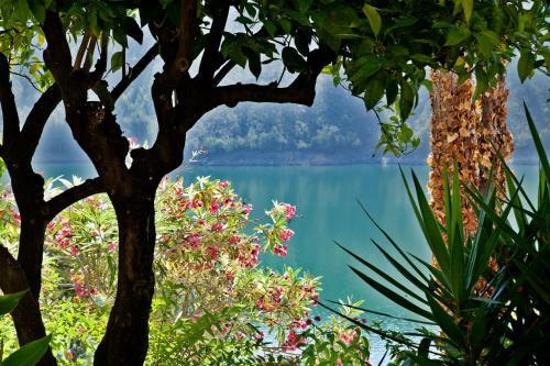 Hostal Estalagem Lago Azul