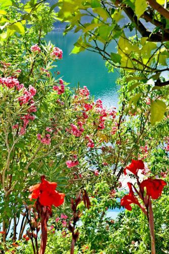 Hostal Estalagem Lago Azul