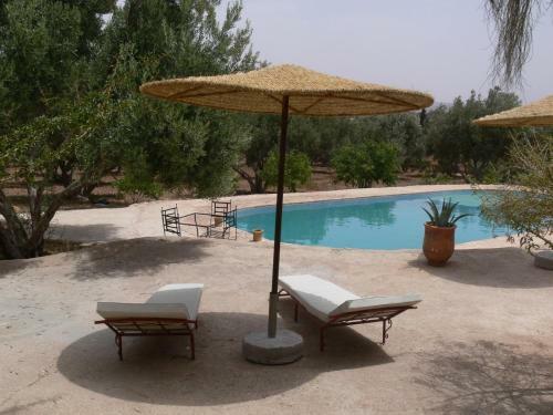 Riad Douar Des Oliviers