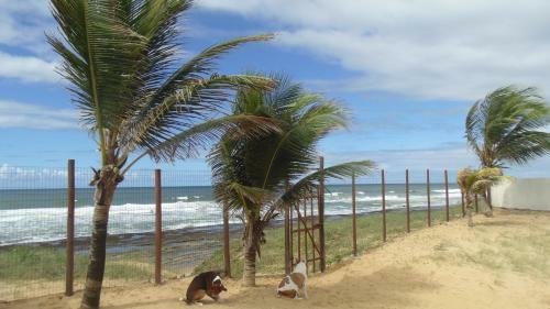 Hostal Jambalaya Pousada