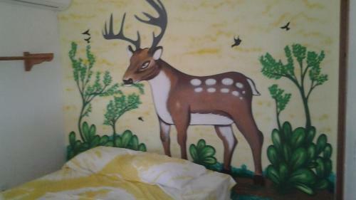 Hostal Pousada Vila Arco-iris