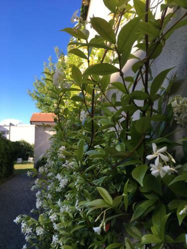 Hotel H�tel Du Th��tre