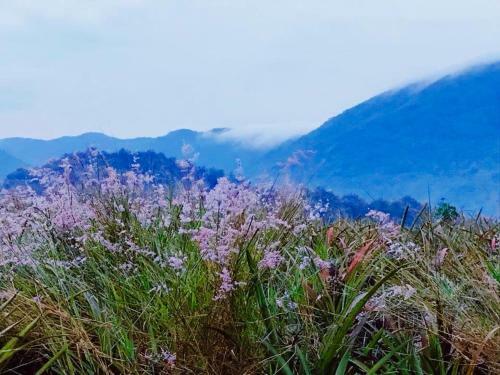 Baansuan Nanglae Hill Homestay