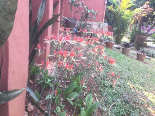 Baansuan Nanglae Hill Homestay