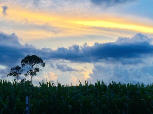 Hotel Khaoyai Nature Retreat