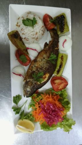 Bed & Breakfast Hotel Baykal