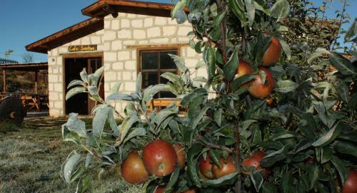 Aladaglar Camping Bungalow