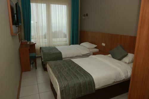 Hotel Fatsa Safi?r Otel