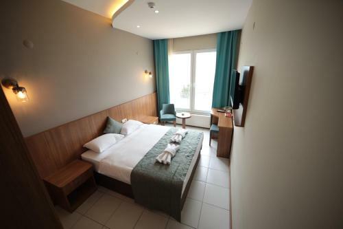 Hotel Fatsa Safi?r Otel