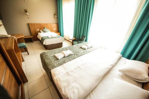 Hotel Fatsa Safi?r Otel