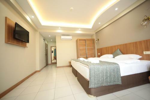 Hotel Fatsa Safi?r Otel