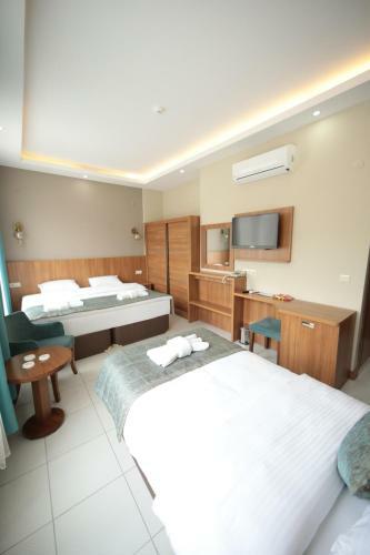 Hotel Fatsa Safi?r Otel