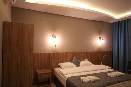 Hotel Fatsa Safi?r Otel