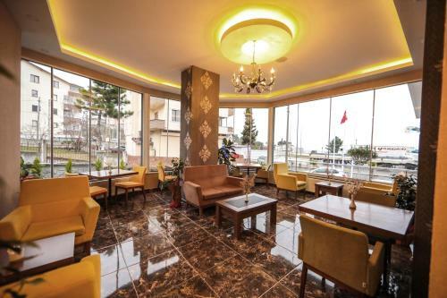 Hotel Fatsa Safi?r Otel