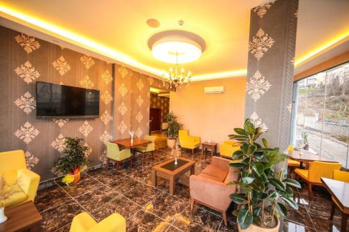 Hotel Fatsa Safi?r Otel