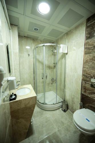 Hotel Fatsa Safi?r Otel