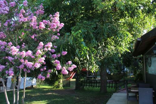 Aloria Garden Hotel