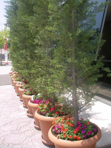 Hotel Gosterisli Otel