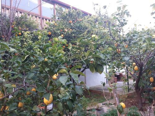 Hostal Cennet Pansiyon