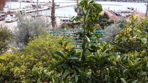 Hostal Cennet Pansiyon