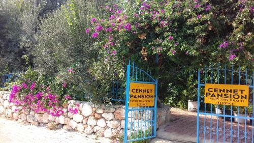 Hostal Cennet Pansiyon