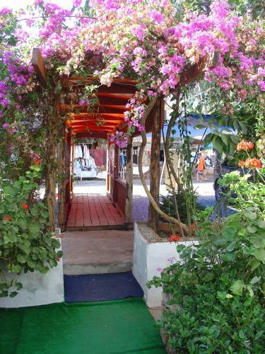 Onur Pension