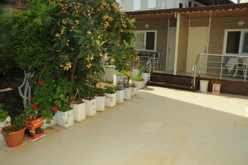 Hostal Likya Pansiyon