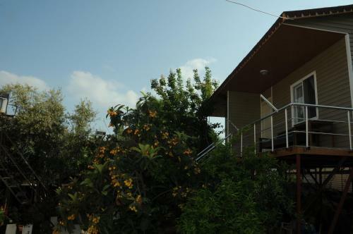 Hostal Likya Pansiyon