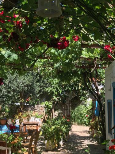 Hostal Likya Pansiyon
