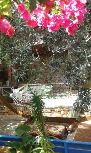 Hostal Likya Pansiyon
