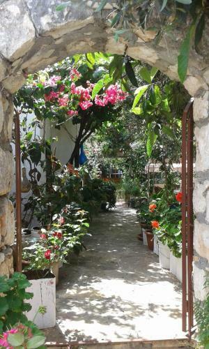 Hostal Likya Pansiyon