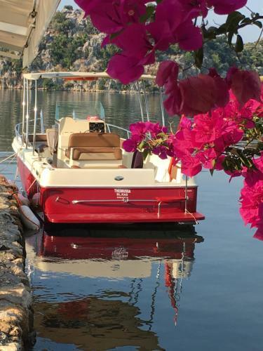 Hostal Kekova Theimussa
