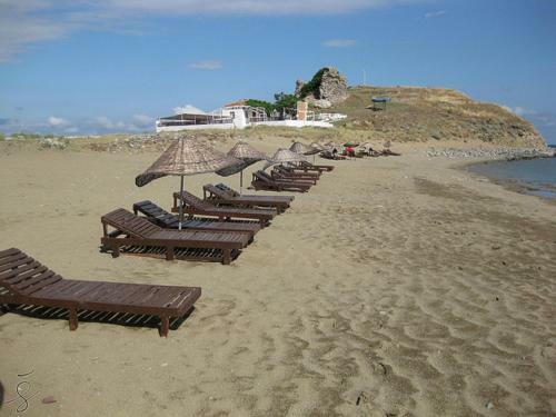 Dogan Pension