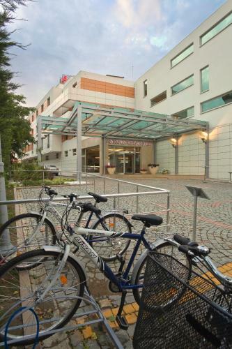 Hotel Anemon Ordu