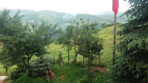 Motel Kumbet Chalet