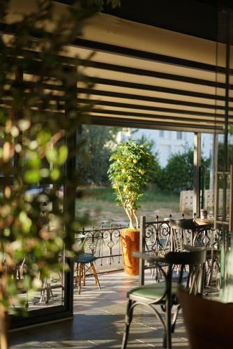Bed & Breakfast Limon Inn Hotel, Ta?ucu