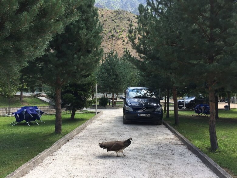 Hotel Agara Pansiyon