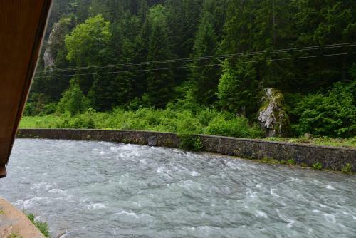 Yesil Irmak Bungalows