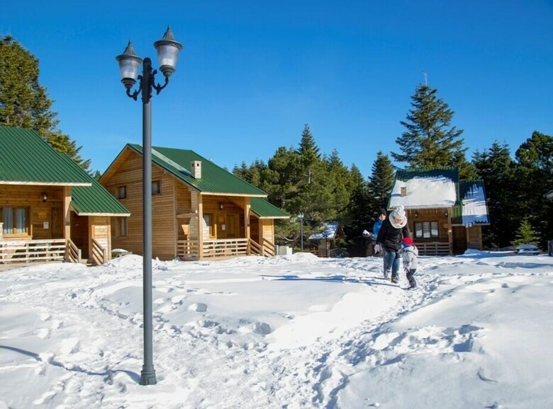 Lodge Uludag Orman Koskleri