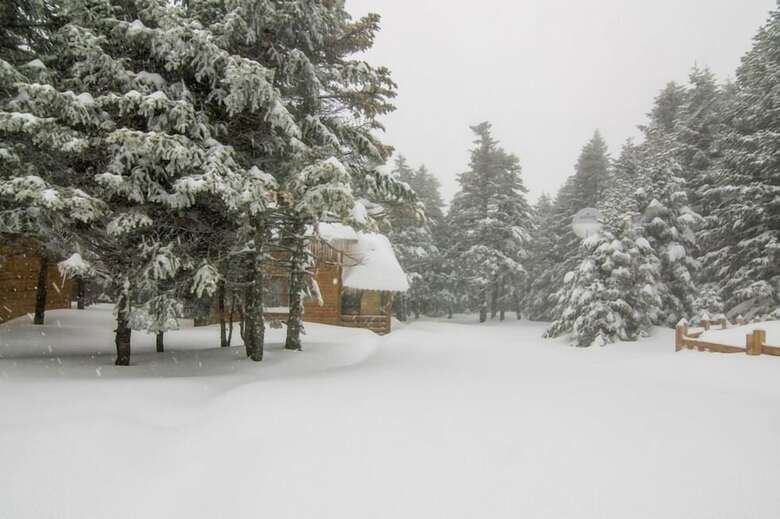 Lodge Uludag Orman Koskleri