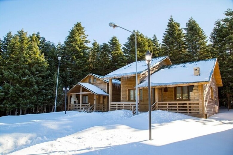 Lodge Uludag Orman Koskleri